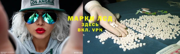 гашик Абинск