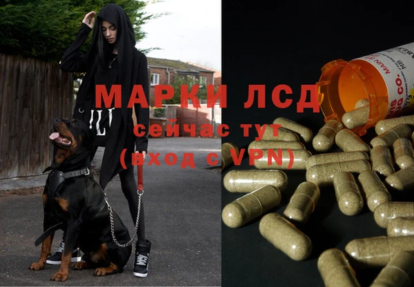 гашик Абинск
