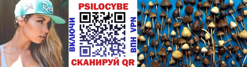 Псилоцибиновые грибы Psilocybine cubensis  Троицк 