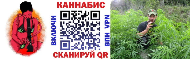 Бошки Шишки гибрид  Троицк 